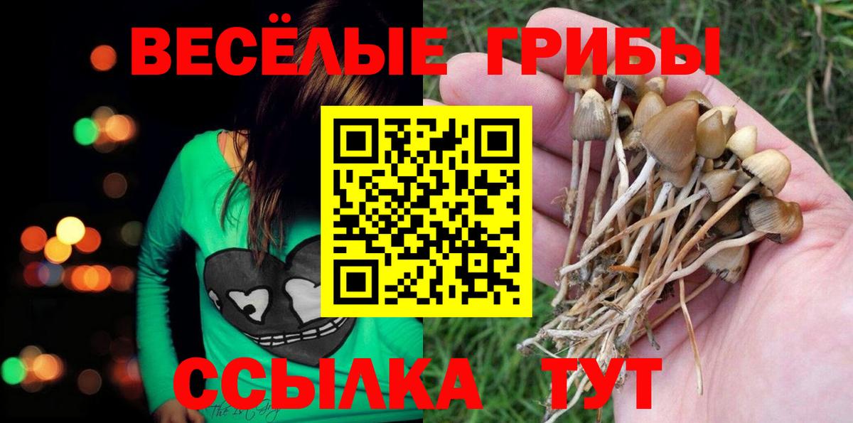 Галлюциногенные грибы GOLDEN TEACHER  Вход с VPN  Псилоцибиновые грибы ЛСД  Великий Новгород 